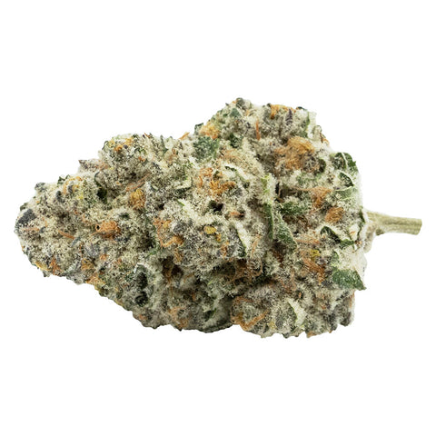 Photo Back Stage Pass Sativa
