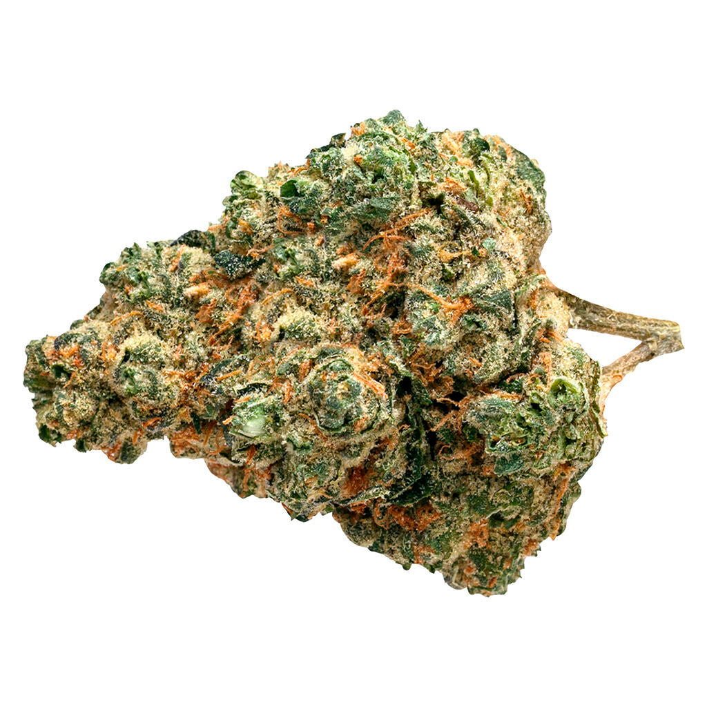 Day Tripper - 