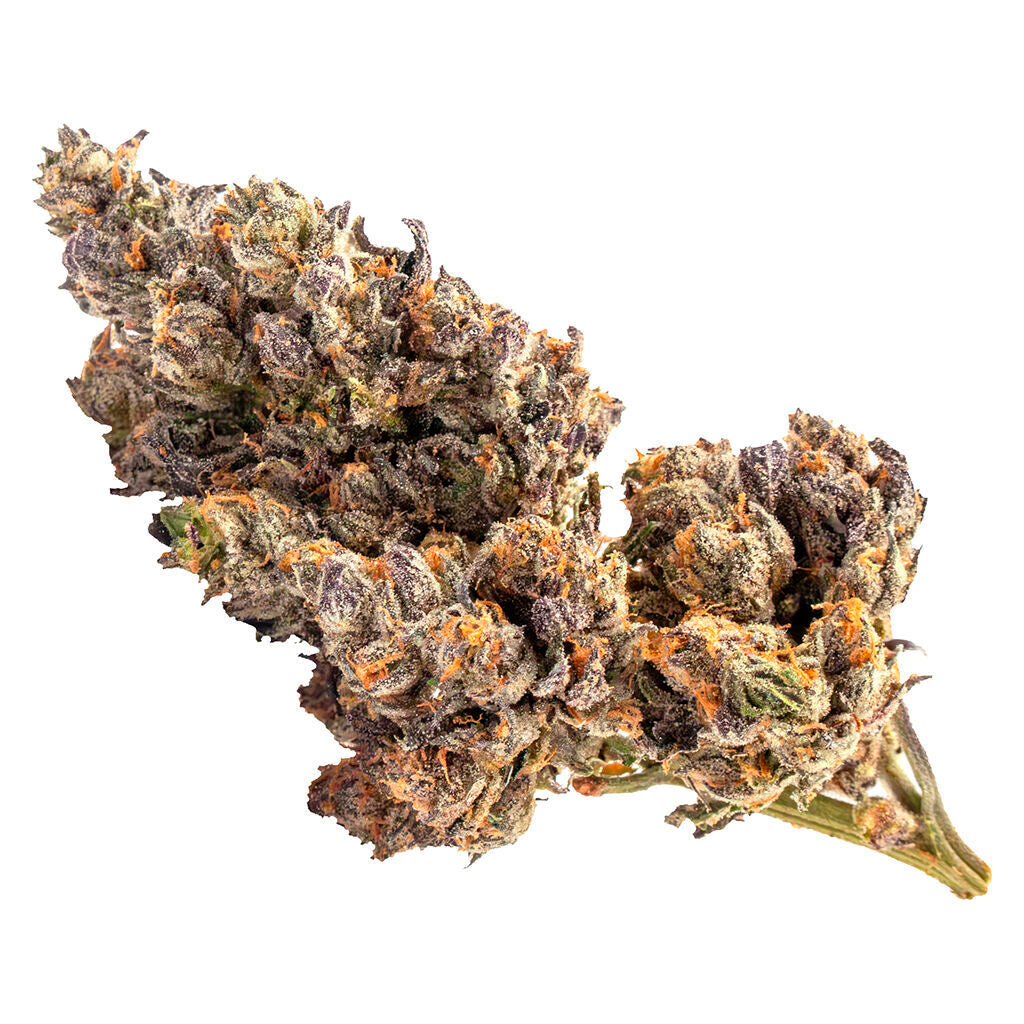 Sativa Bag - 