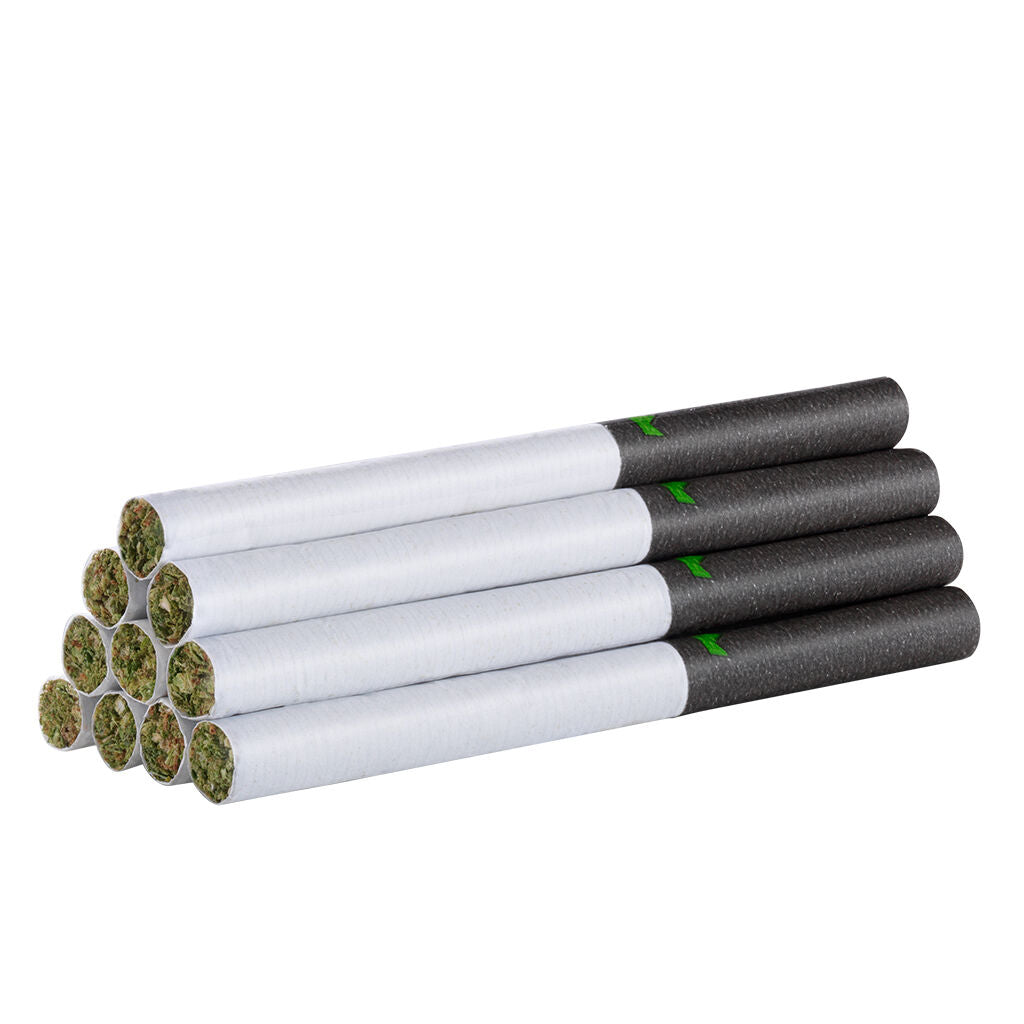 Royal Collection Redees Pre-Roll King Pack