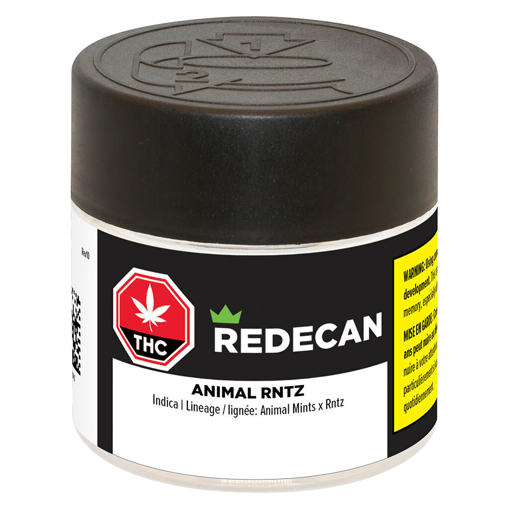Animal Rntz - 