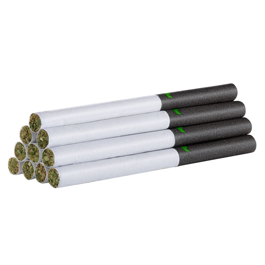 Warlock Redees Pre-Roll - 