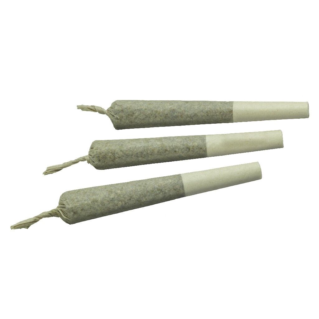 Go Steady Black Cherry Punch Pre-Roll