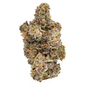 Mellow Man - Whole Flower
