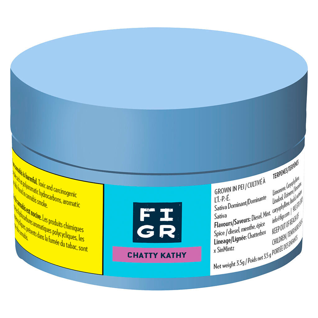 Chatty Kathy - Dried Flower - 