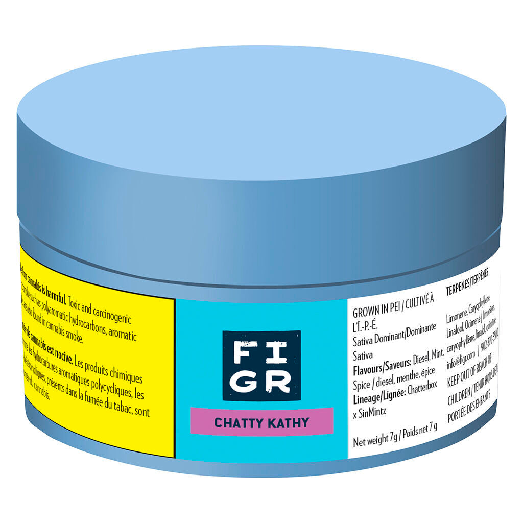 Chatty Kathy - Dried Flower - 