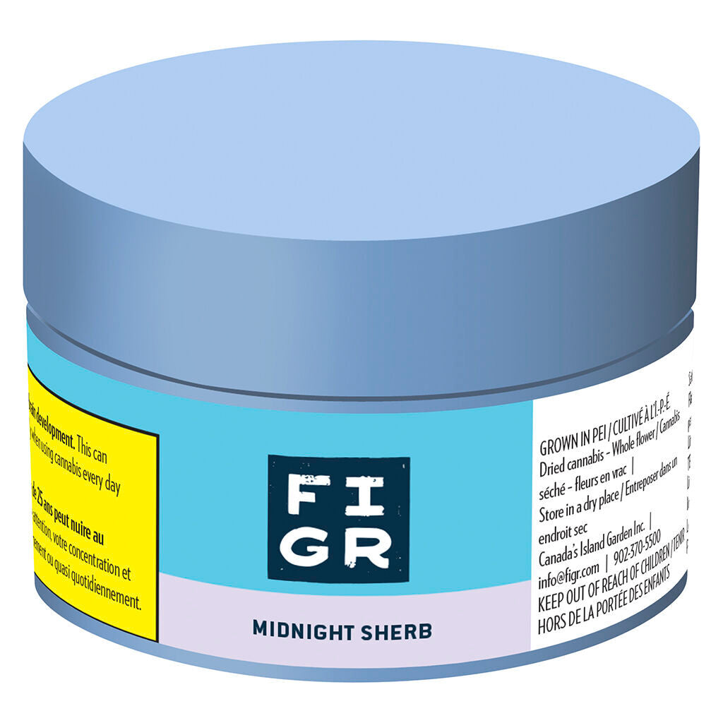 Midnight Sherb - Dried Flower - 