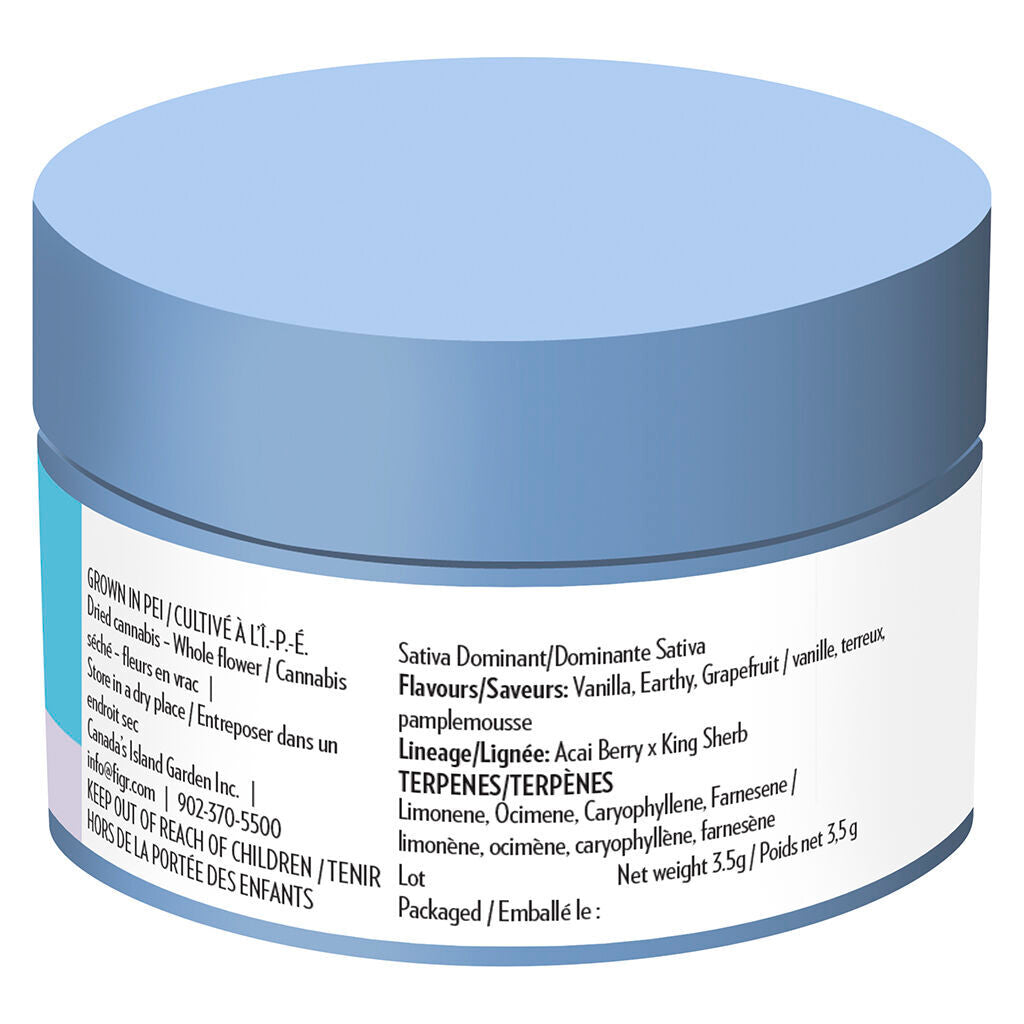 Midnight Sherb - Dried Flower - 