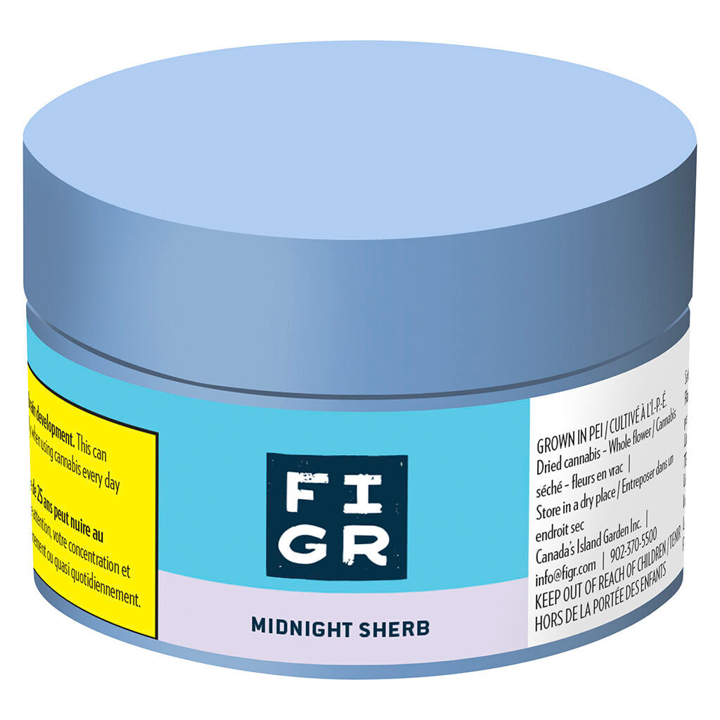 Midnight Sherb - Dried Flower - 