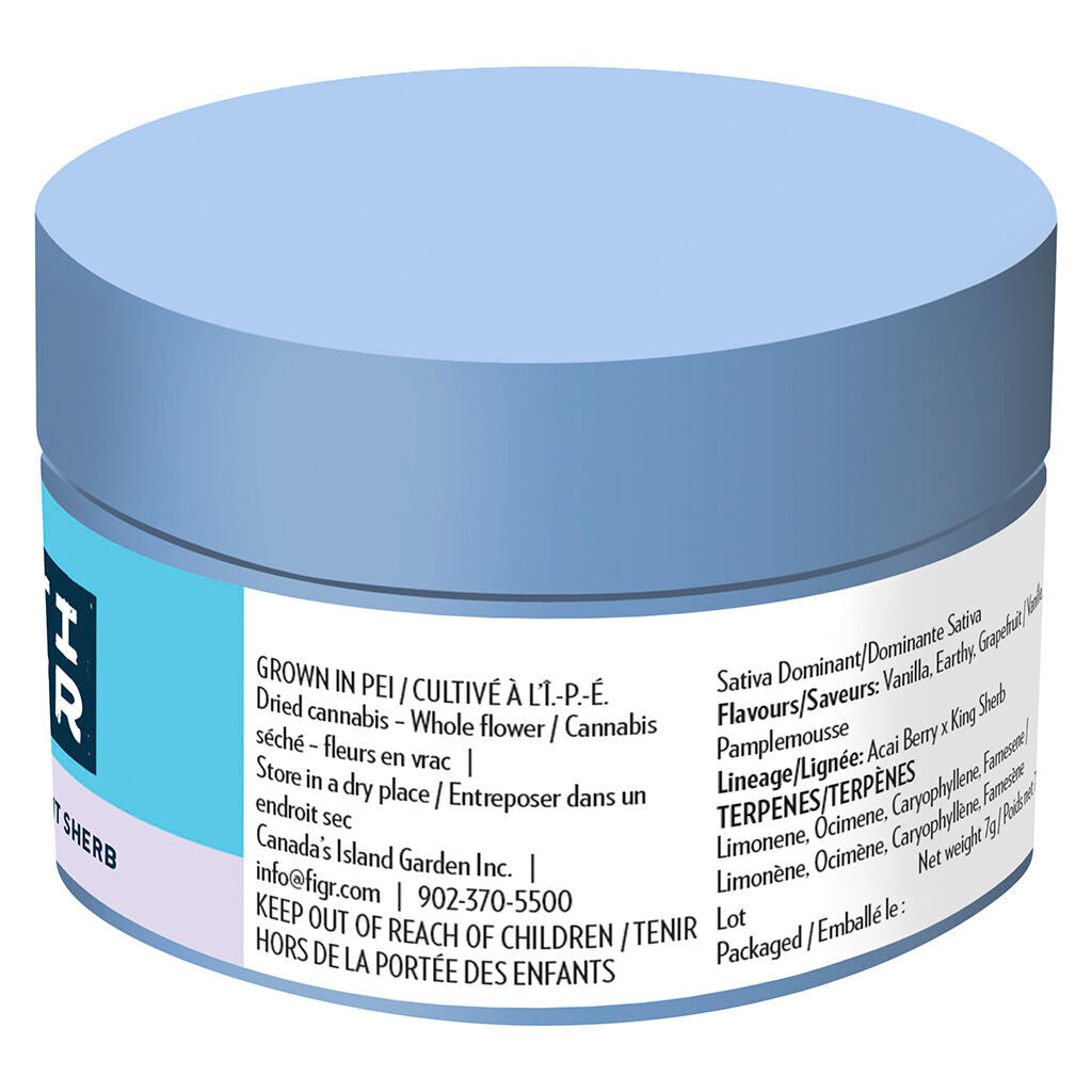 Midnight Sherb - Dried Flower - 