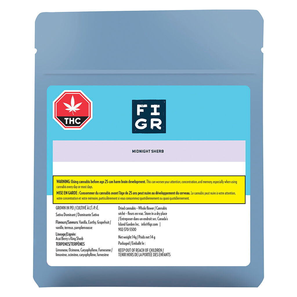 Midnight Sherb - Dried Flower - 