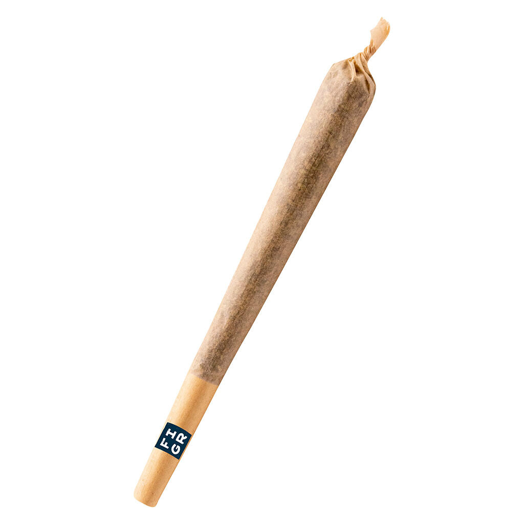 Golden Hour - Pre-Roll - 