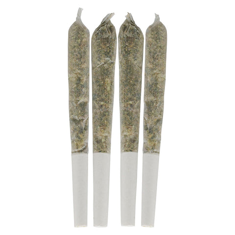 Photo Tropical Pocket Puffs Pre-Roll