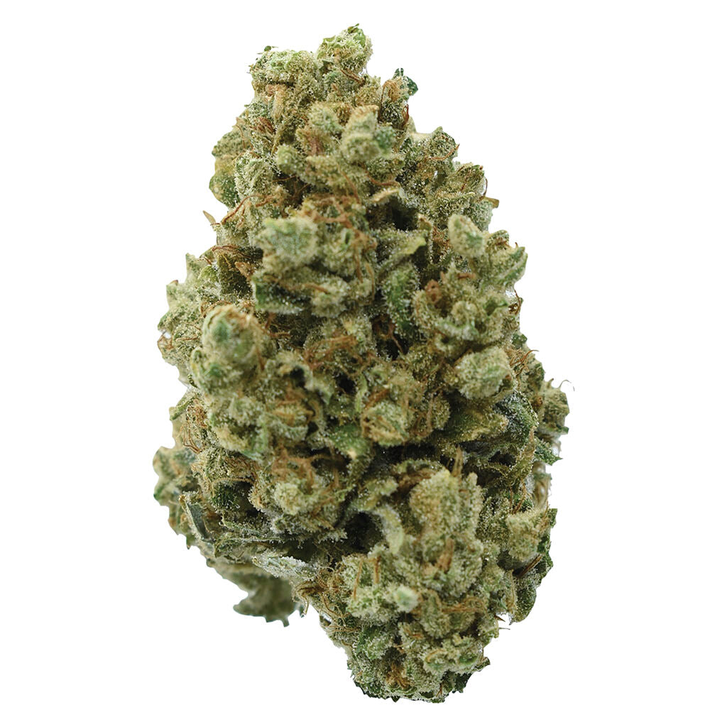 Pedro's Sweet Sativa - 