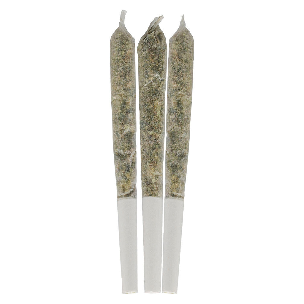Blueberry Seagal Live Resin Infused Pre-Roll - 