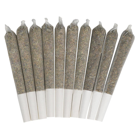 Photo Préroulés Pedro’s Prima Sativa