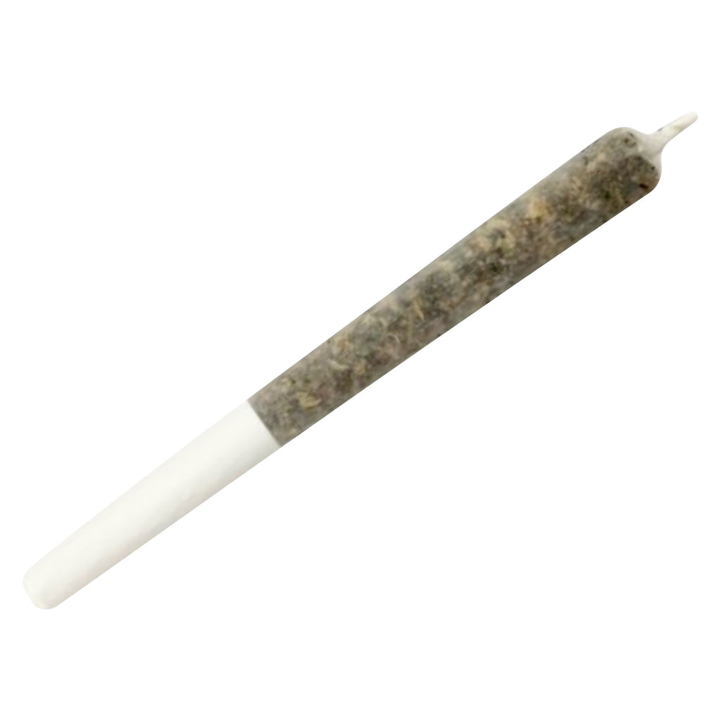 Wildcat Serum Pocket Rockets Infused Pre-Roll - 