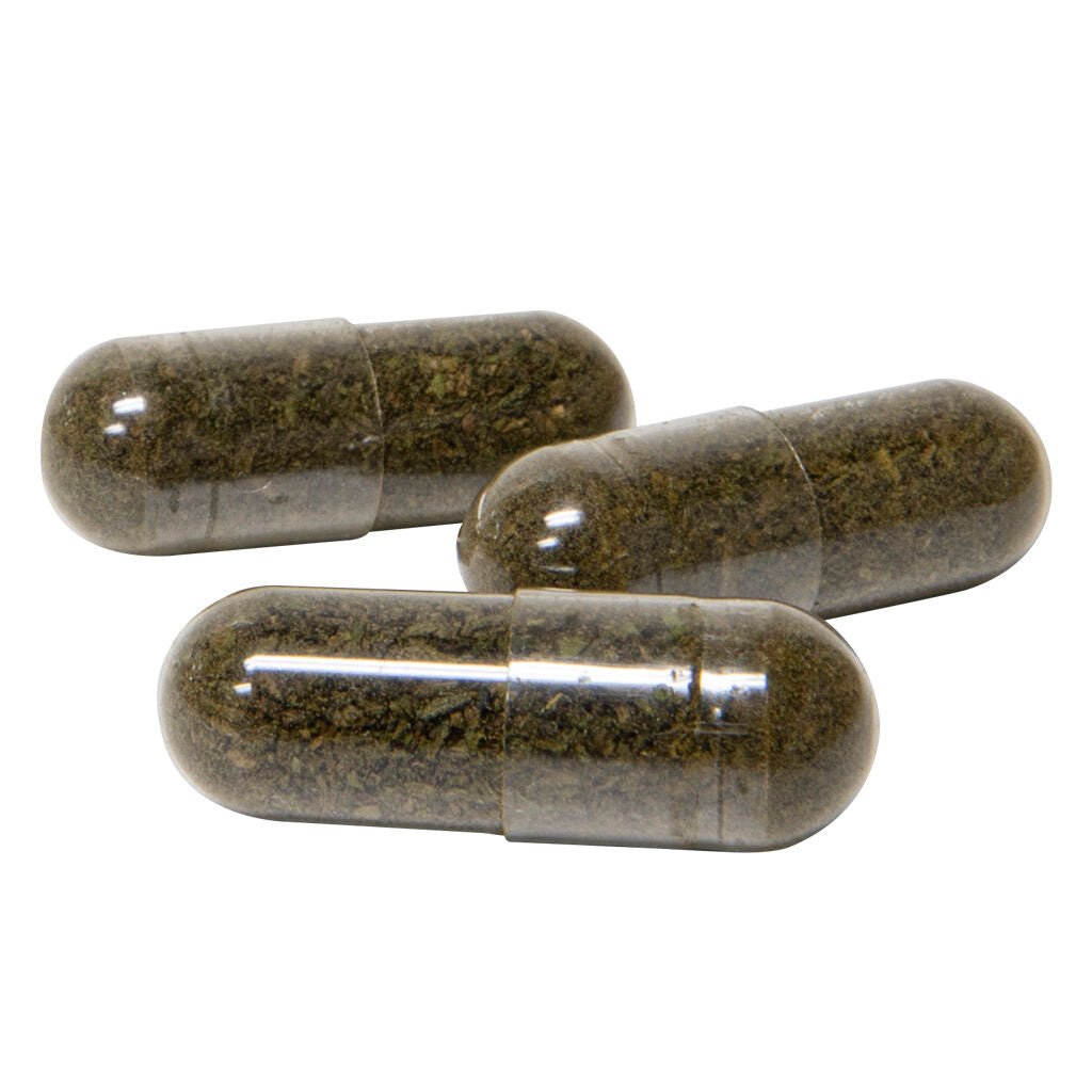 CBDA Capsules - 