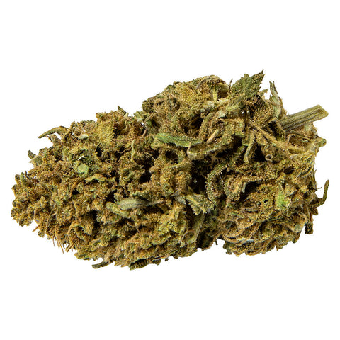 Photo Blueberry Bliss