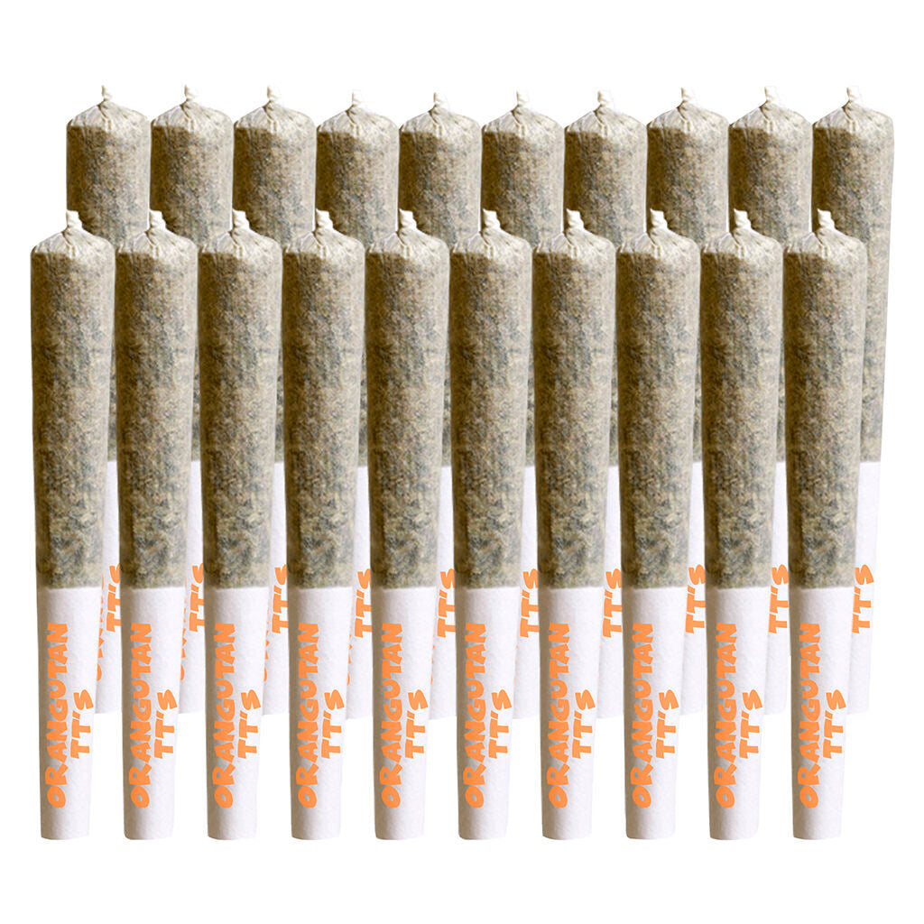 Orangutan TT's Pre-Roll