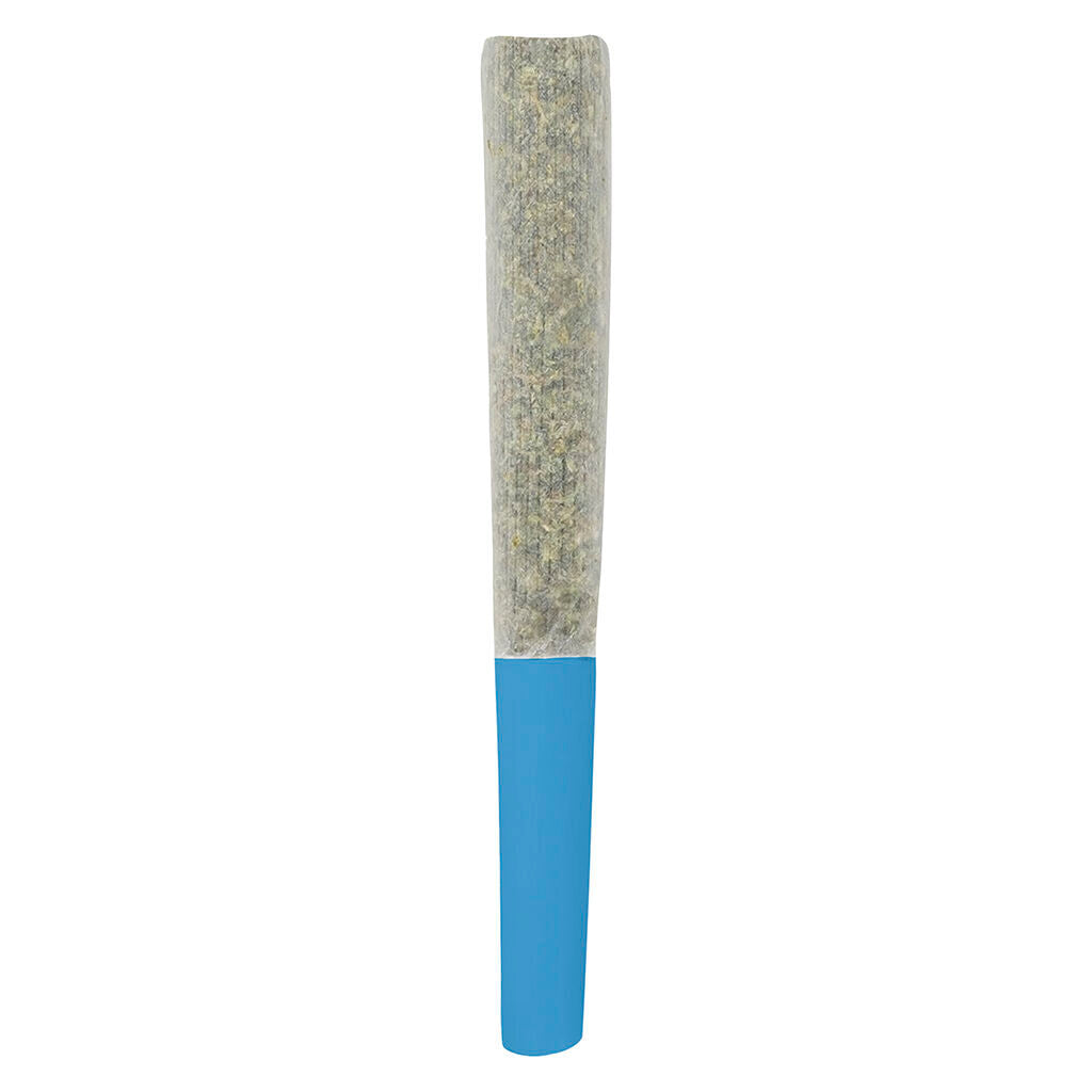 Blueberry Double Infused Pre-Roll - 