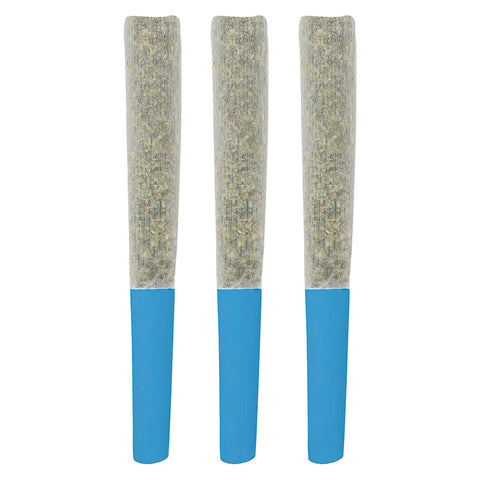 Photo Préroulé doublement infusé Blueberry