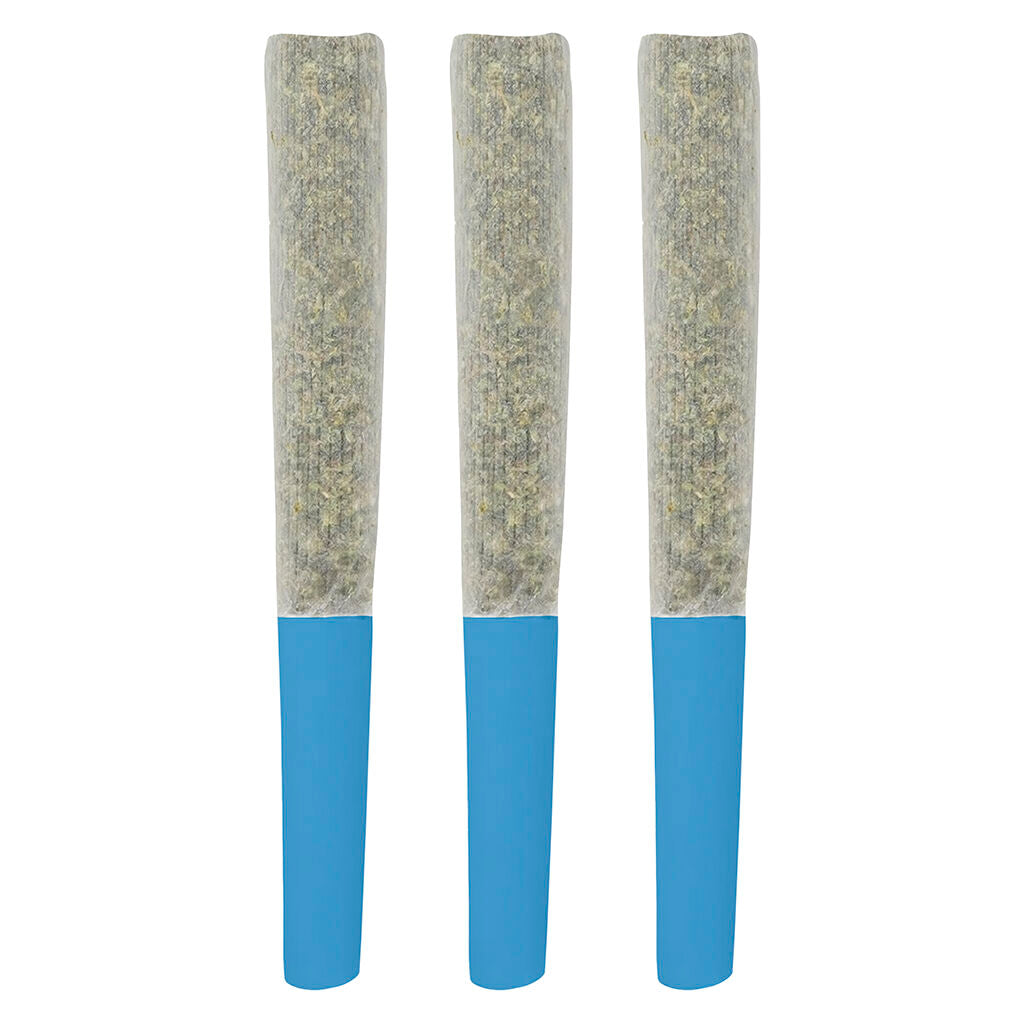 Blueberry Double Infused Pre-Rolls - 