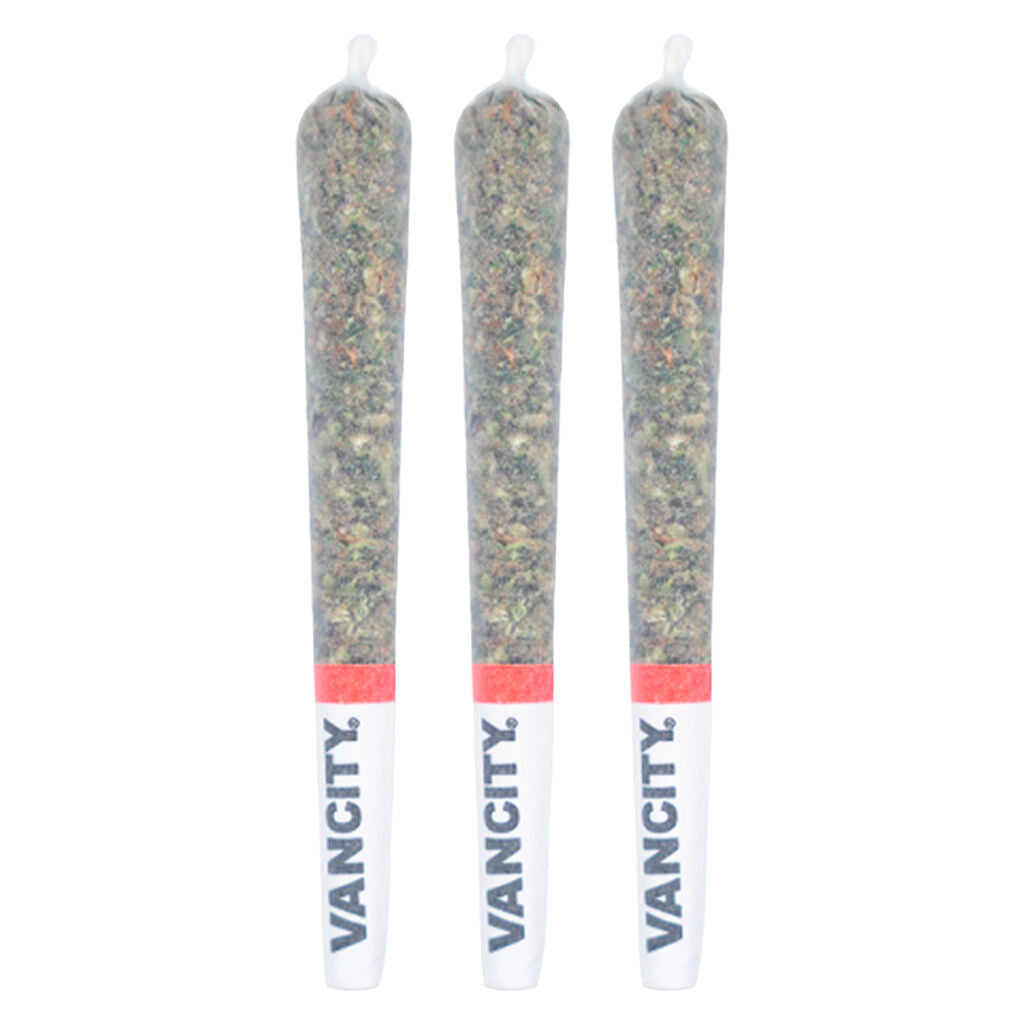 Préroulé Reserve Sativa
