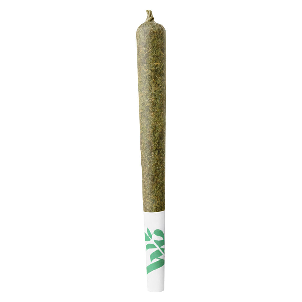 OG Sin Pre-Roll - 