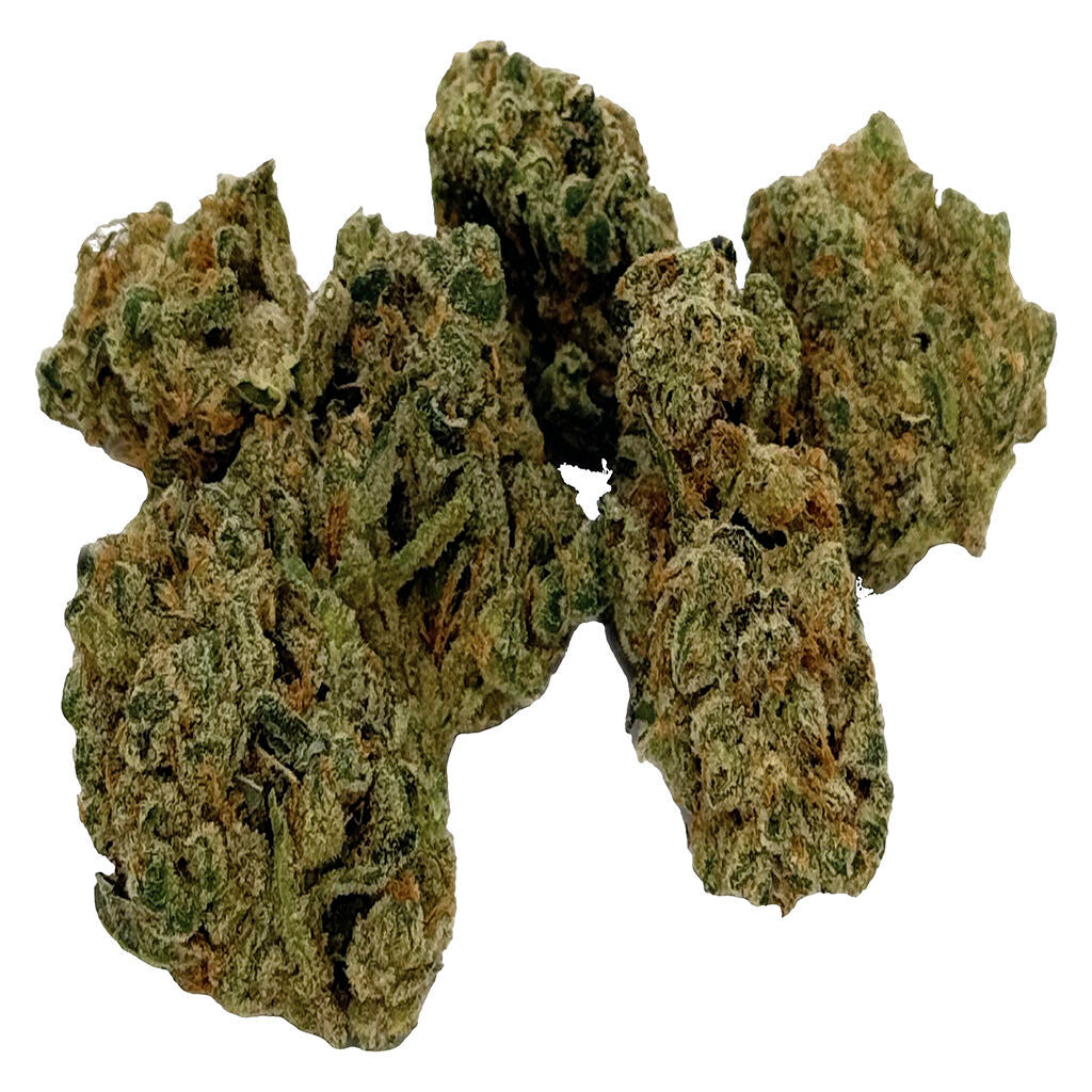 LAMB OF GOD - SATIVA - 