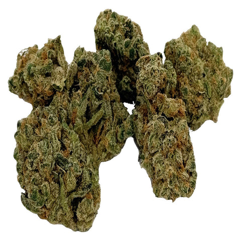Photo LAMB OF GOD - SATIVA