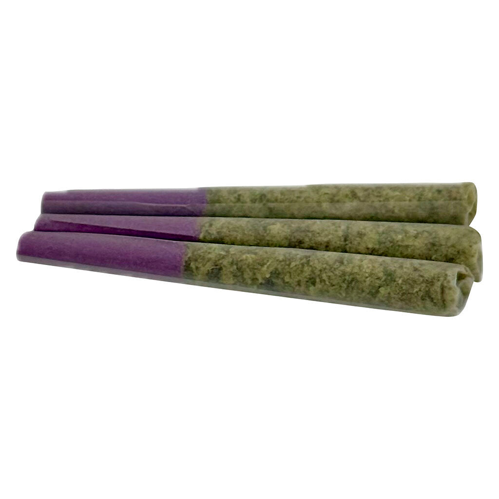 LAMB OF GOD Pre-Roll - 
