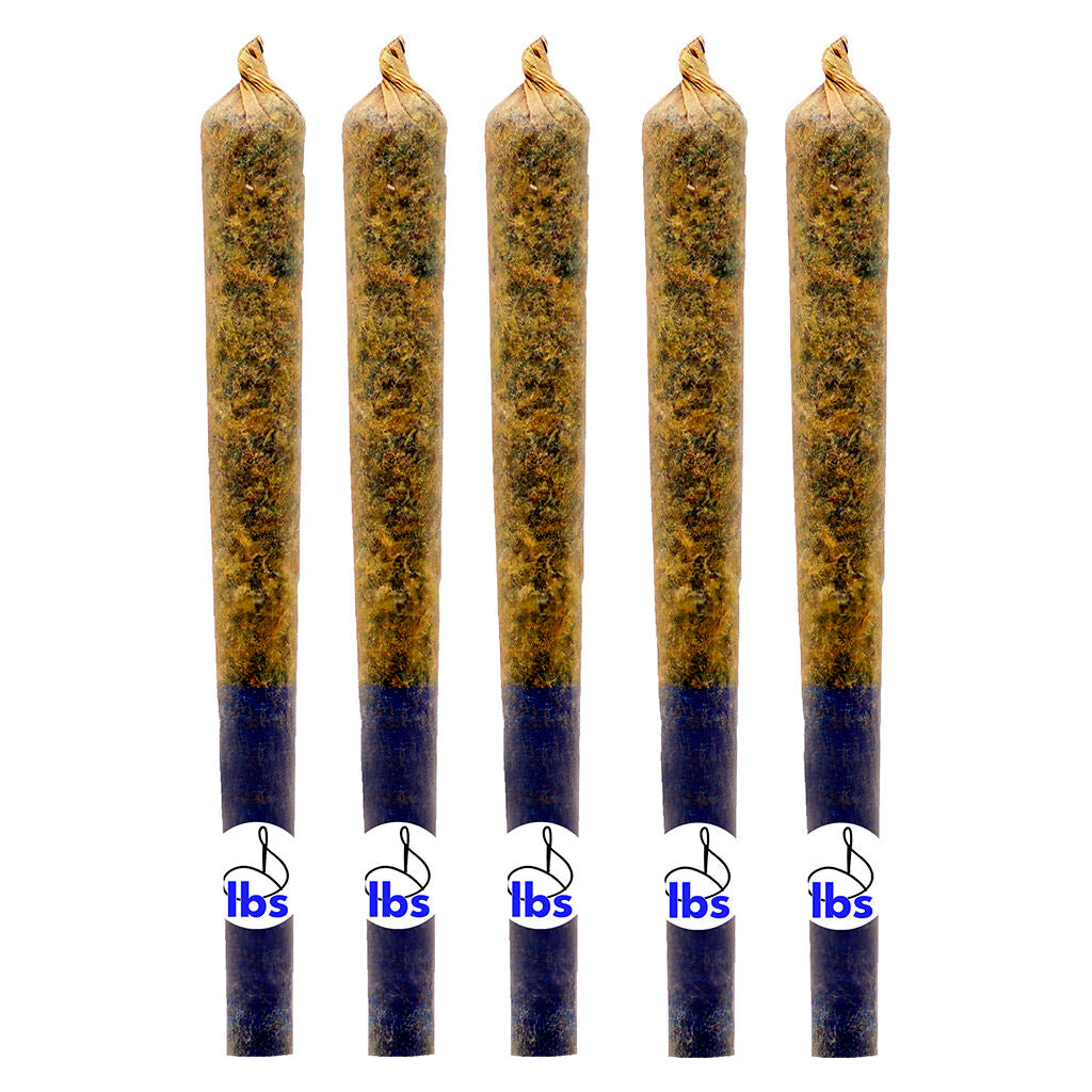 Atomic GG 5 Pacc Pre-Roll - 