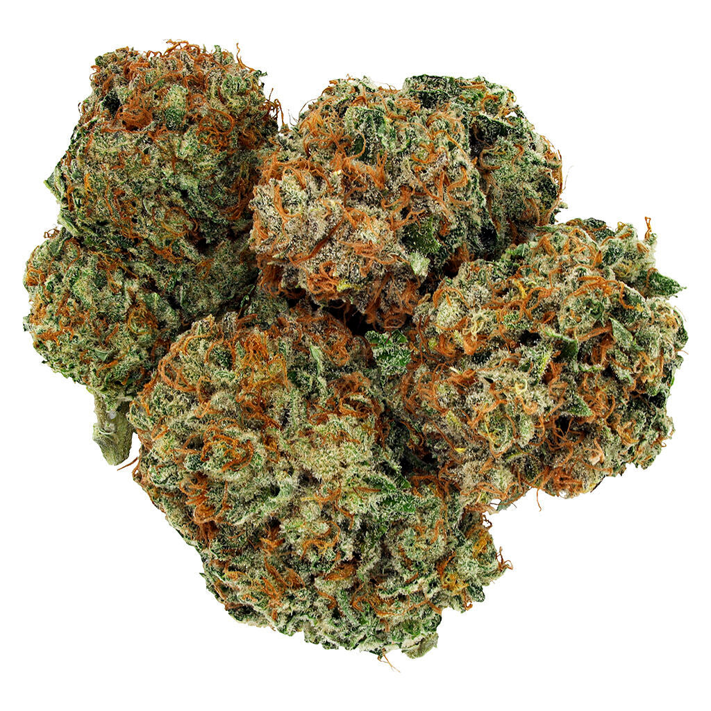 Donana OG - 