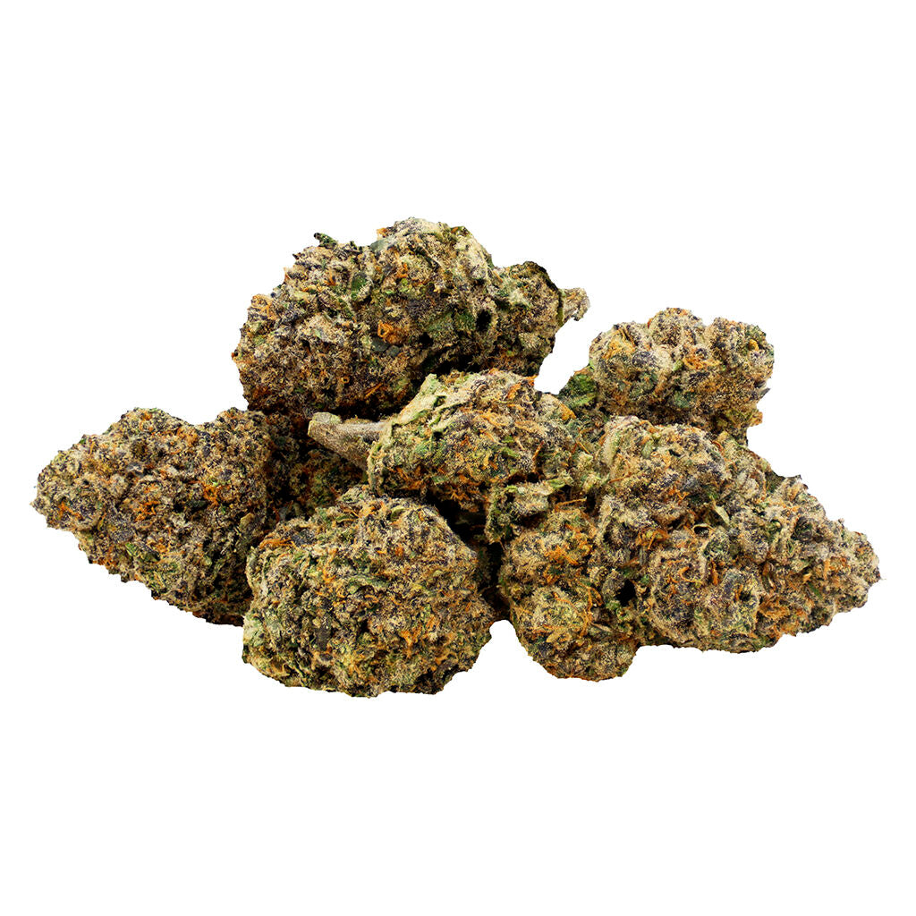 Jealousy x Biscotti - 