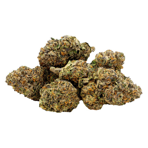 Photo Jalousie × Biscotti