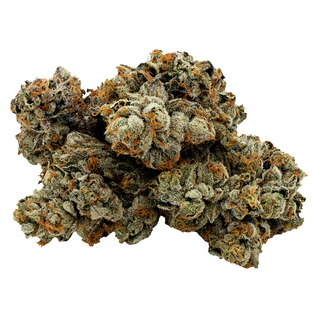 Jet fuel Gelato x Pinesoul - 