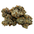 Jet fuel Gelato x Pinesoul