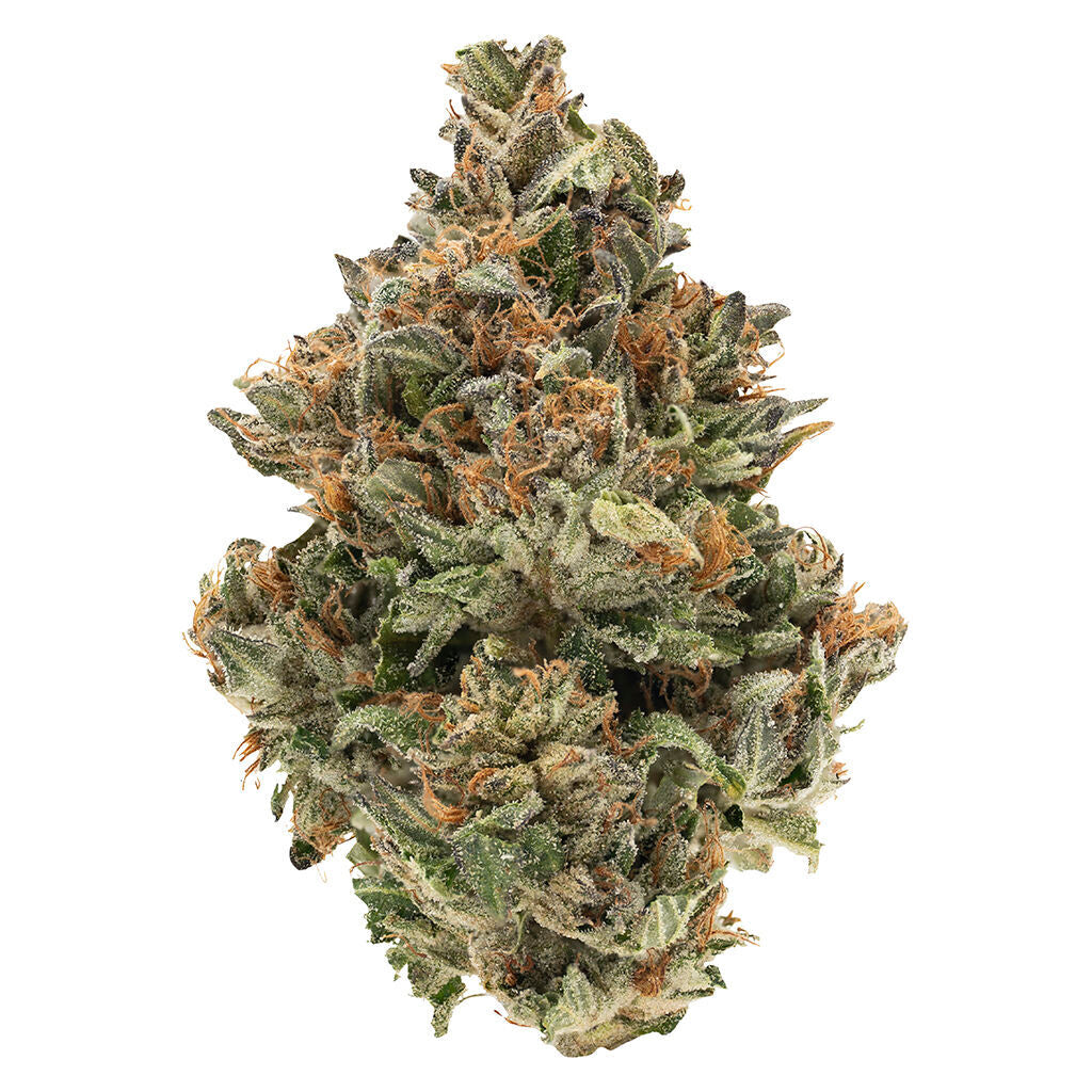 BC Organic Fire OG - 