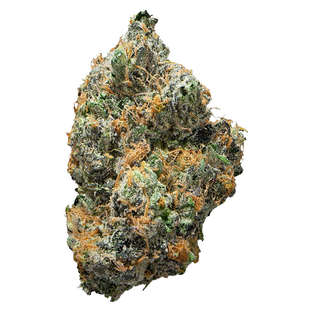 BC Organic Tea Time #7 - 