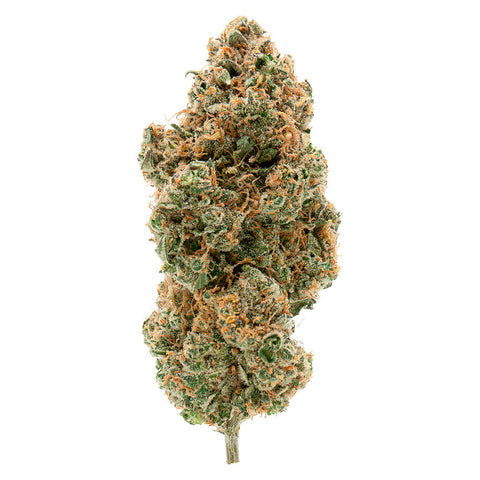Photo BC Organic Tangerine Sunrise
