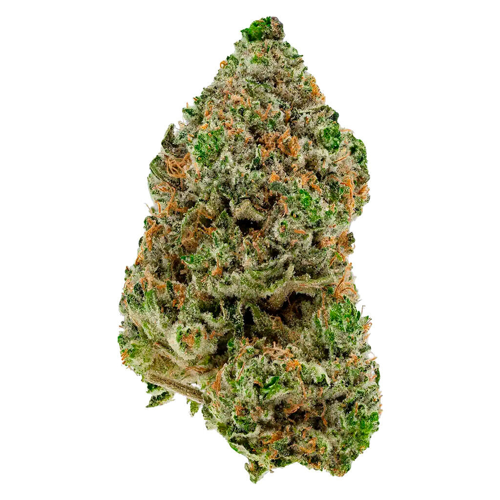 BC Organic Hibachi Blue - 