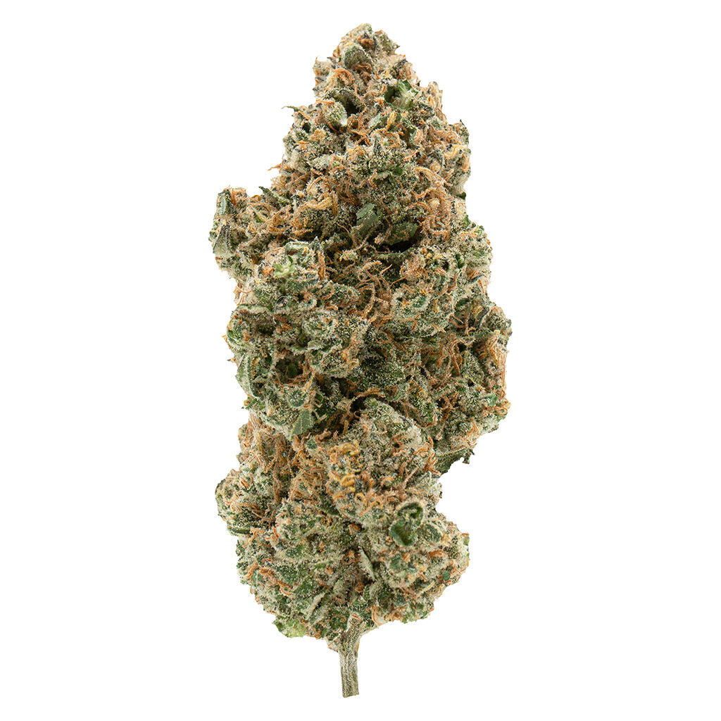 BC Organic Tangerine Sunrise