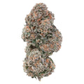Sour Congo