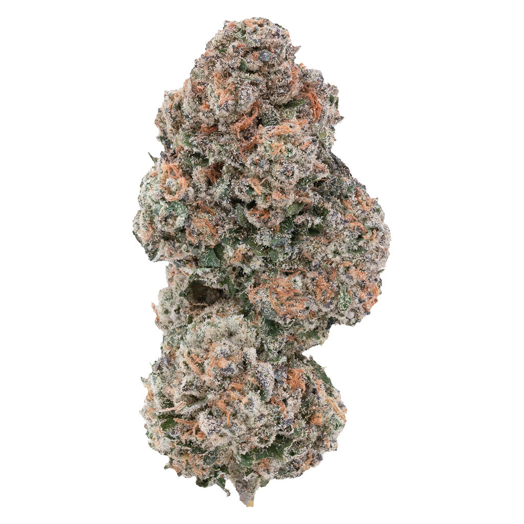 Sour Congo