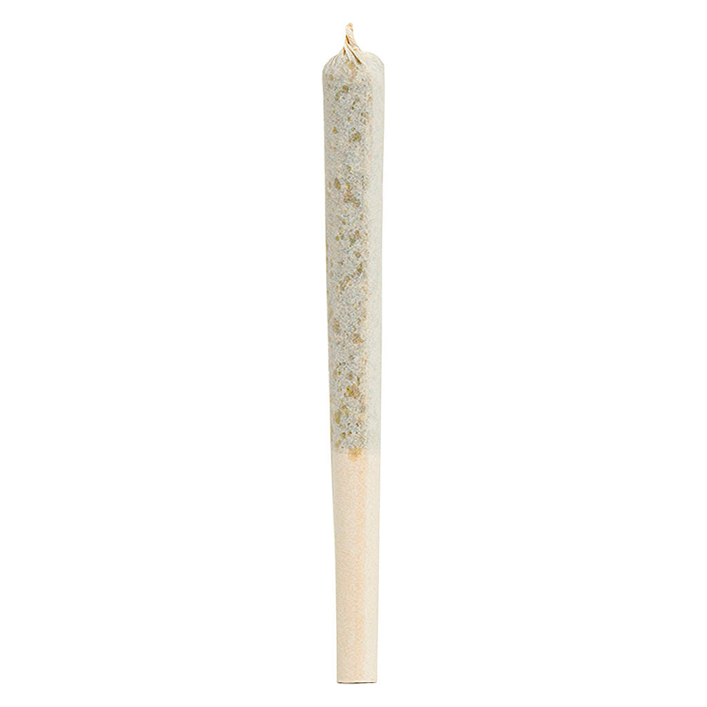 Comatose Pre-Roll