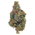 BC Organic Caviar-Z