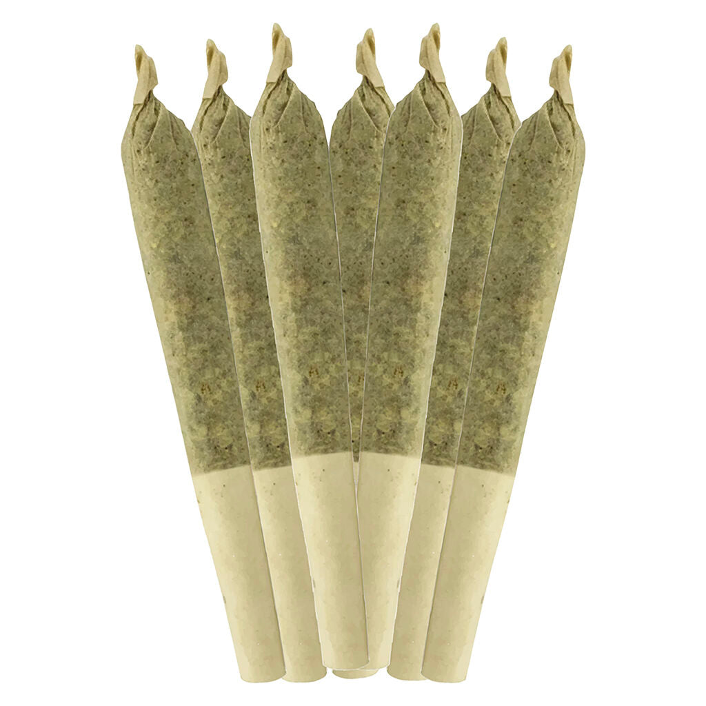 Key Lime Pie Pre-Roll