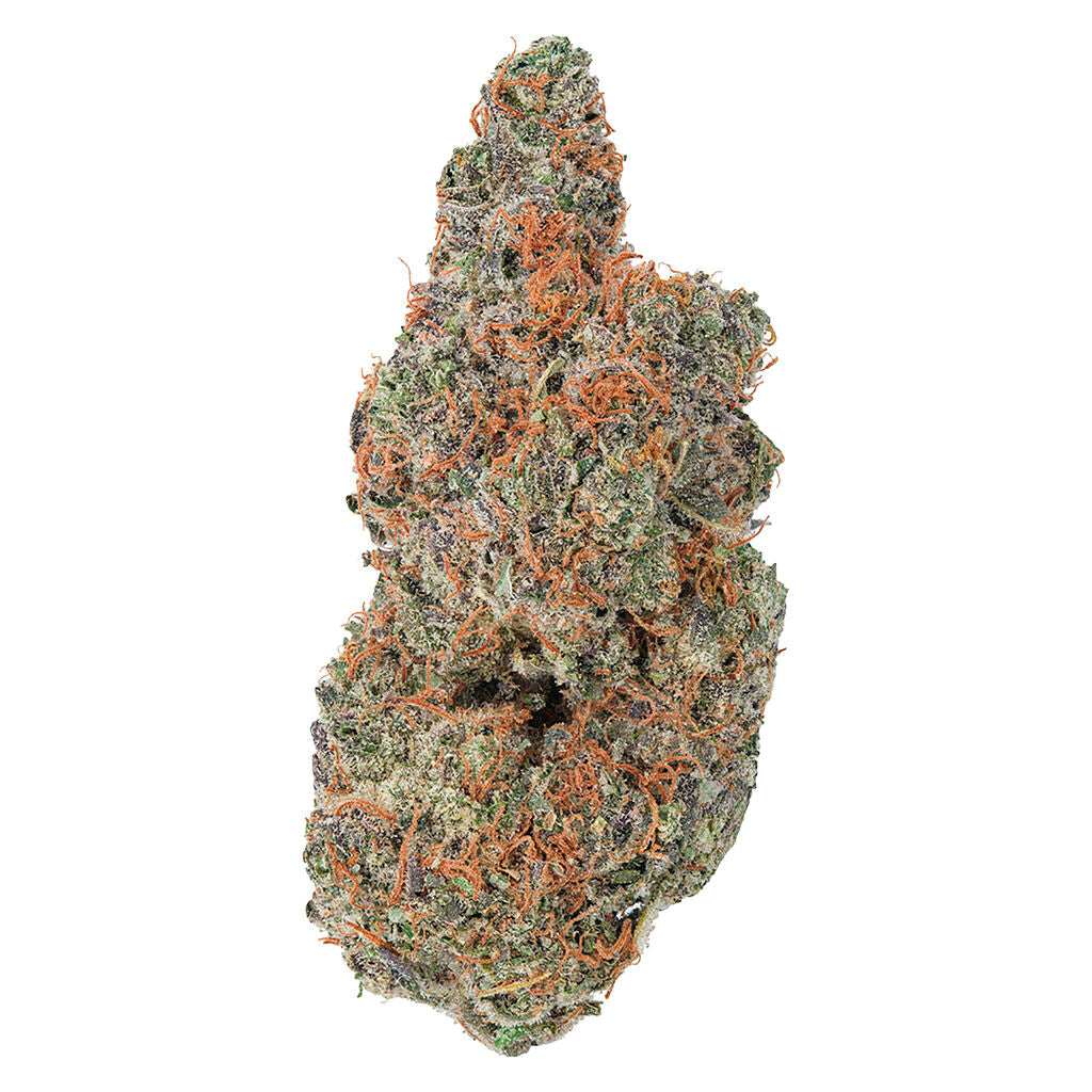 Strawberry Gary - 