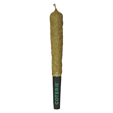 Photo Double-Infused Strawberry Gary Pre-Roll